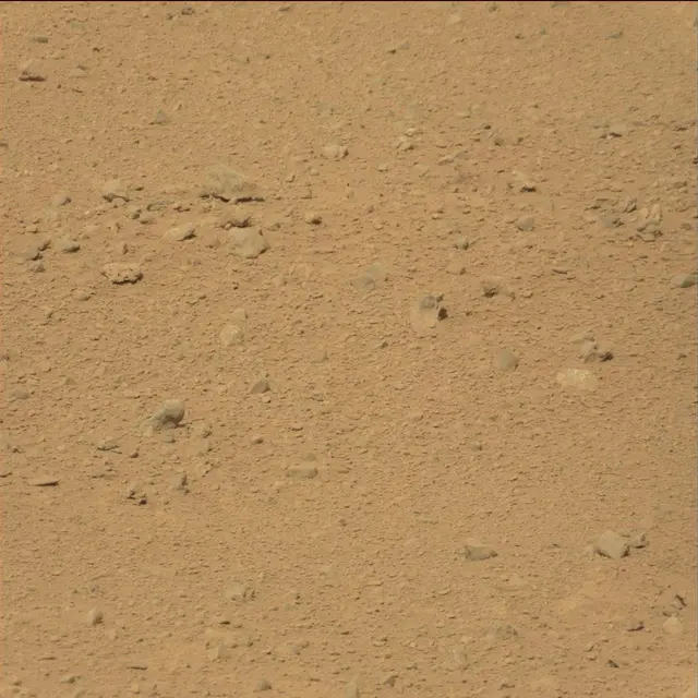 Sol 39: Mast Camera (Mastcam)