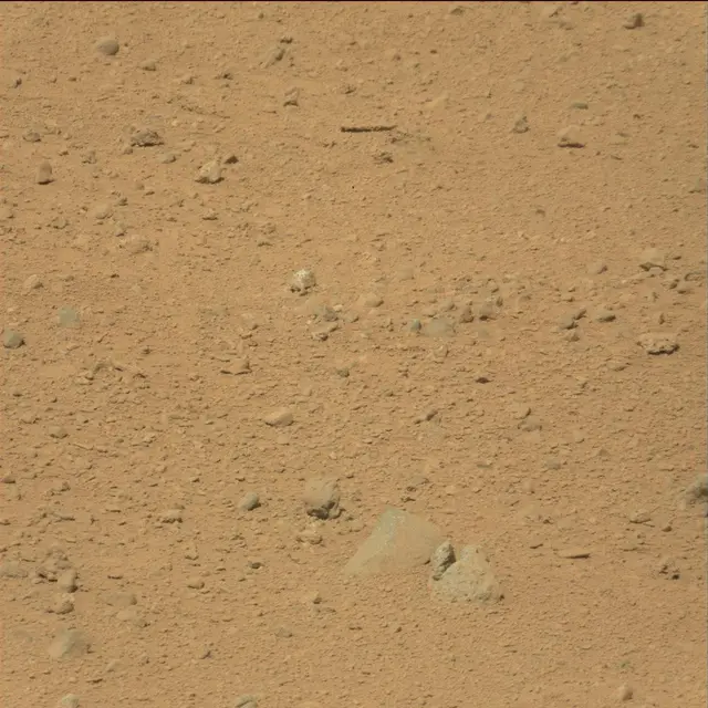 Sol 39: Mast Camera (Mastcam)