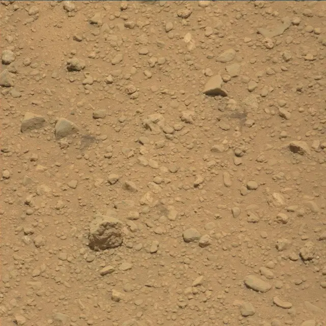 Sol 39: Mast Camera (Mastcam)