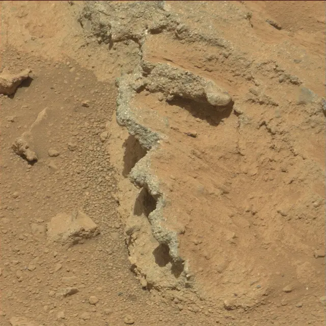 Sol 39: Mast Camera (Mastcam)