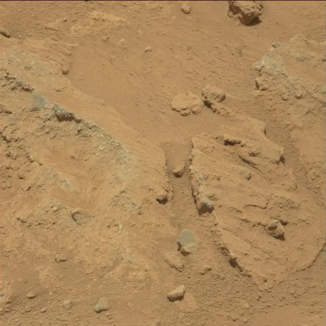 Sol 39: Mast Camera (Mastcam)