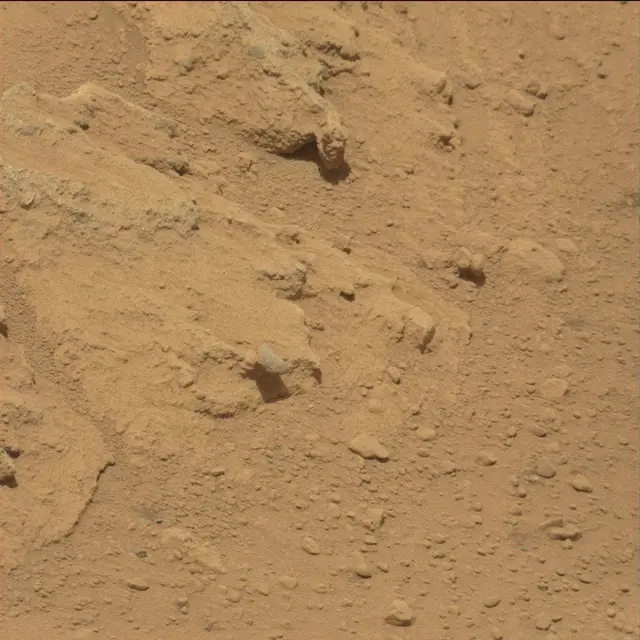 Sol 39: Mast Camera (Mastcam)