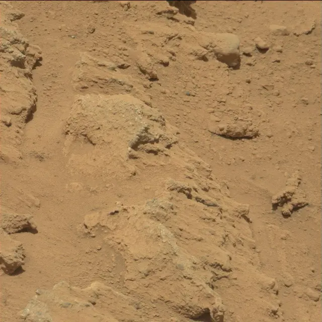 Sol 39: Mast Camera (Mastcam)