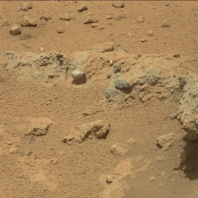 Sol 39: Mast Camera (Mastcam)