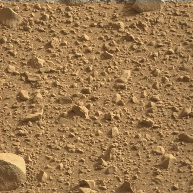 Sol 39: Mast Camera (Mastcam)