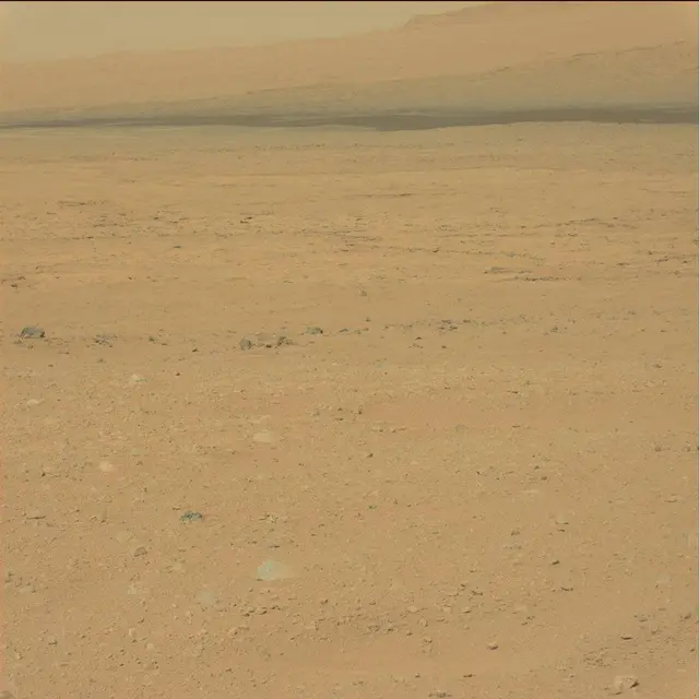 Sol 40: Mast Camera (Mastcam)