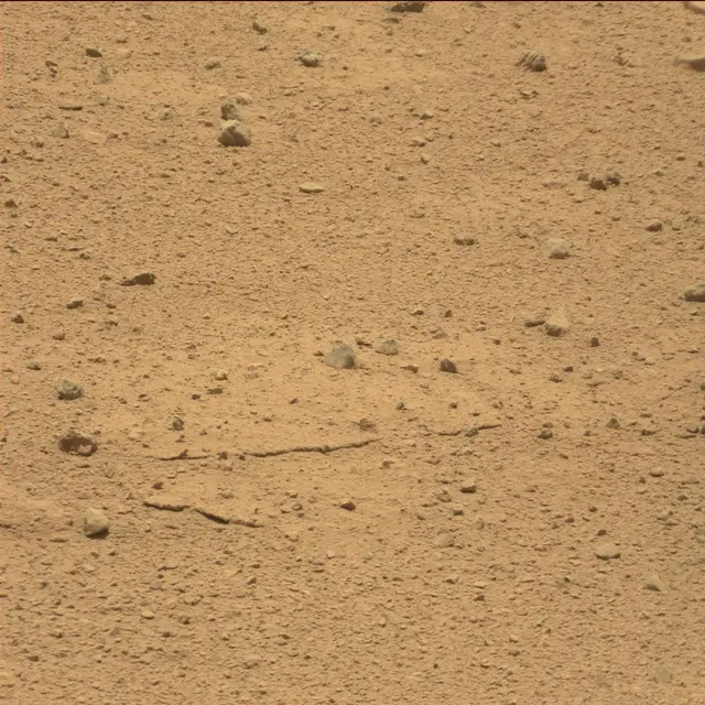 Sol 40: Mast Camera (Mastcam)