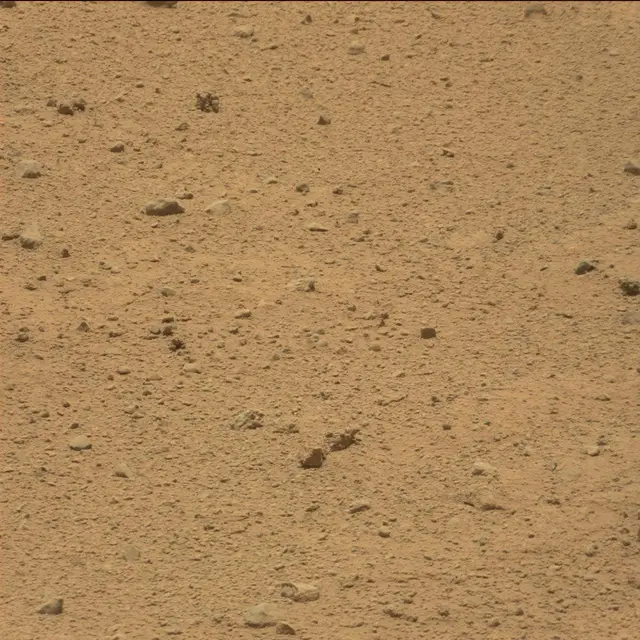 Sol 40: Mast Camera (Mastcam)