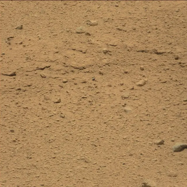 Sol 40: Mast Camera (Mastcam)