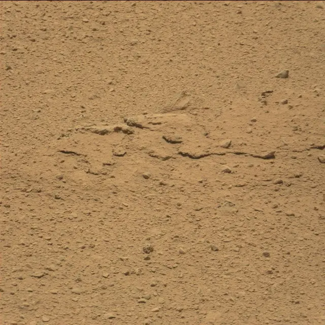 Sol 40: Mast Camera (Mastcam)