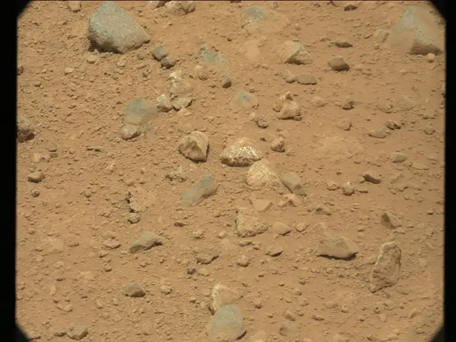Sol 40: Mast Camera (Mastcam)
