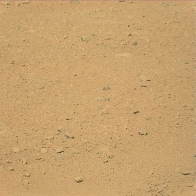 Sol 40: Mast Camera (Mastcam)
