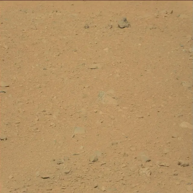 Sol 40: Mast Camera (Mastcam)