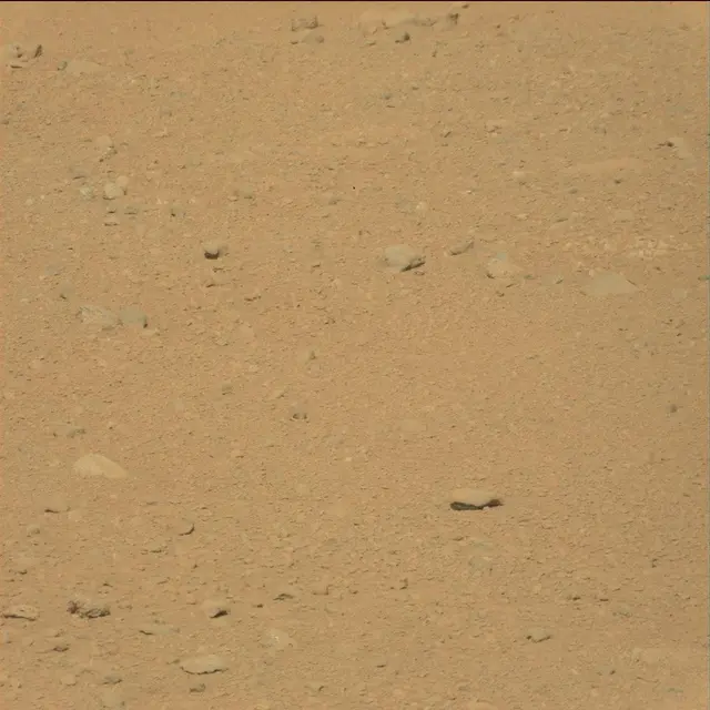 Sol 40: Mast Camera (Mastcam)