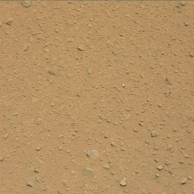 Sol 41: Mast Camera (Mastcam)