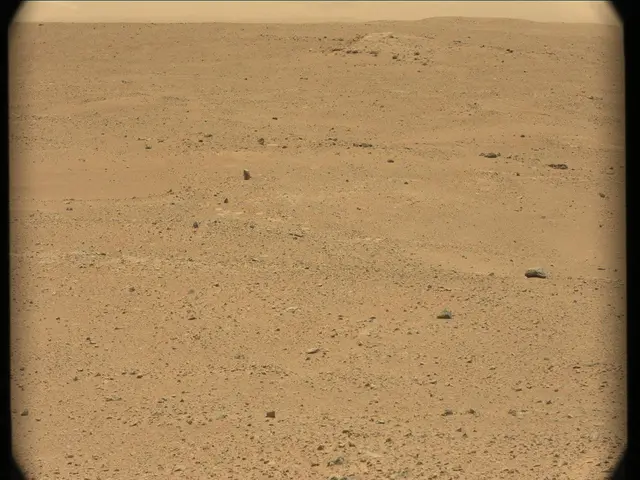 Sol 41: Mast Camera (Mastcam)