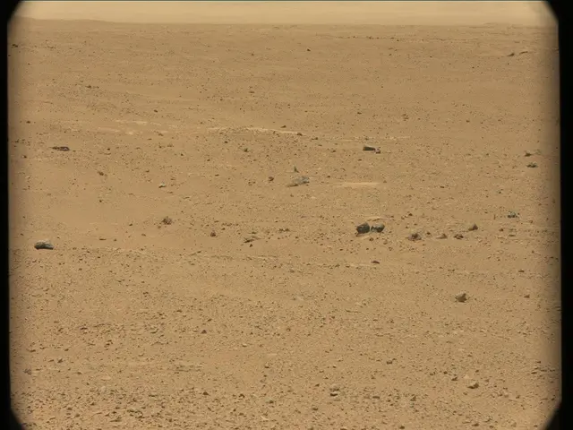Sol 41: Mast Camera (Mastcam)