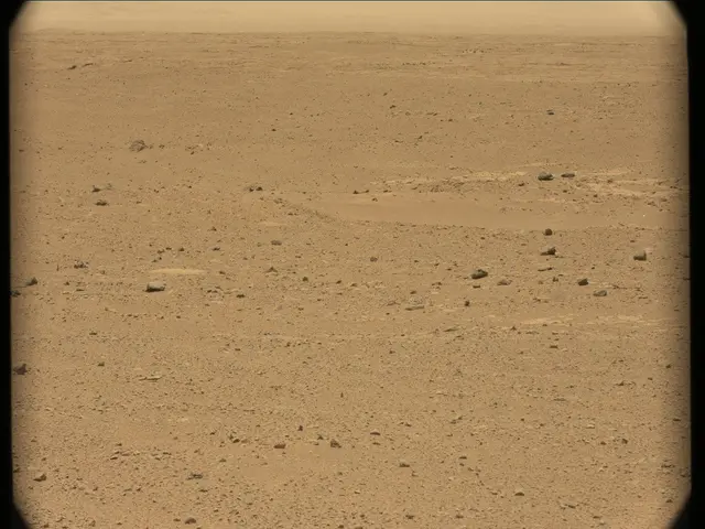 Sol 41: Mast Camera (Mastcam)