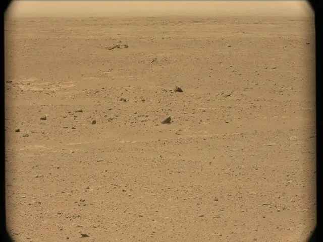 Sol 41: Mast Camera (Mastcam)