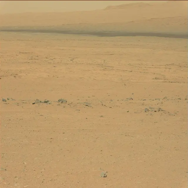 Sol 41: Mast Camera (Mastcam)