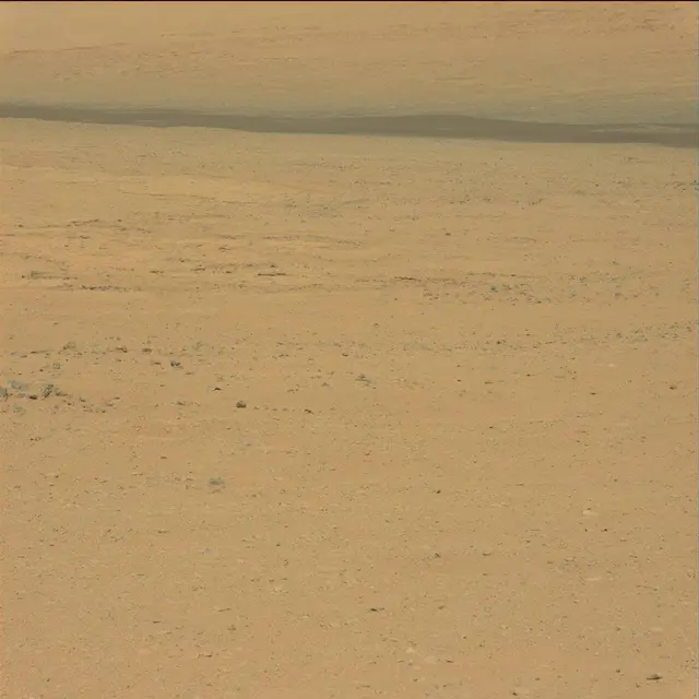 Sol 41: Mast Camera (Mastcam)