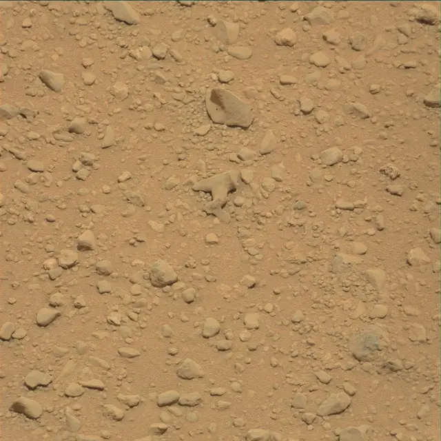 Sol 41: Mast Camera (Mastcam)