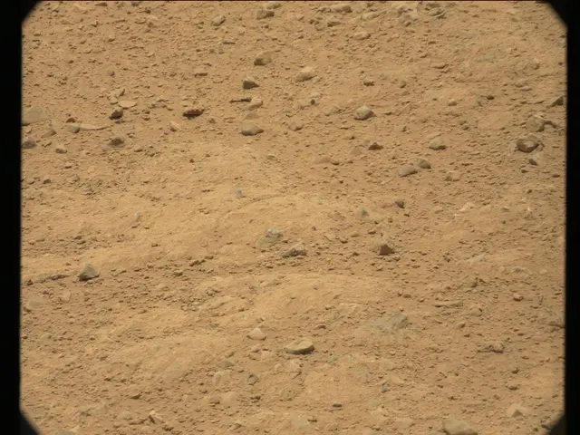Sol 41: Mast Camera (Mastcam)