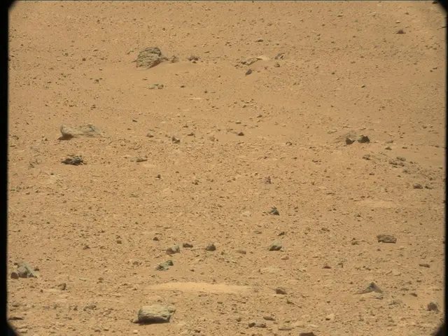 Sol 41: Mast Camera (Mastcam)
