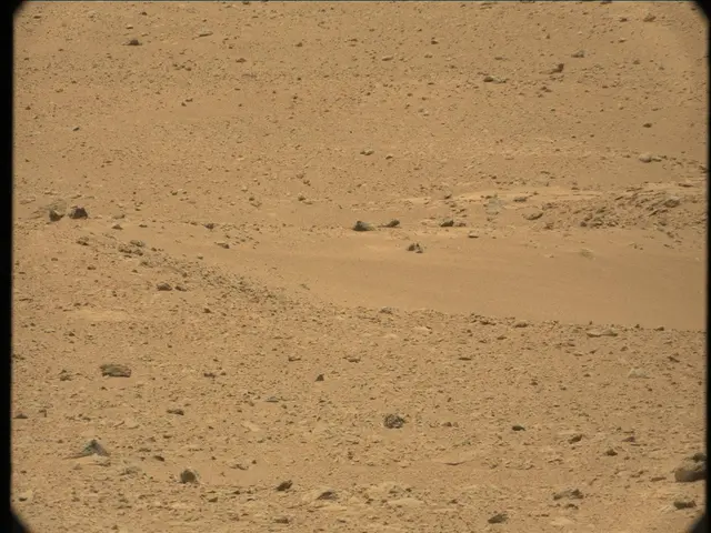 Sol 41: Mast Camera (Mastcam)