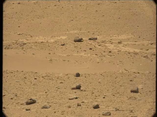 Sol 41: Mast Camera (Mastcam)