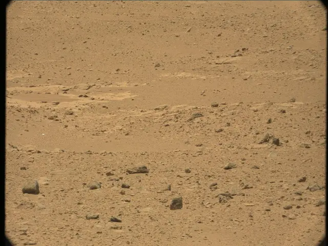 Sol 41: Mast Camera (Mastcam)