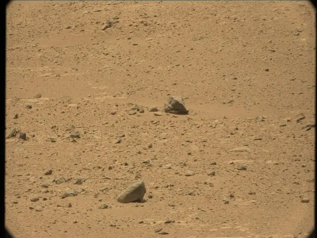 Sol 41: Mast Camera (Mastcam)