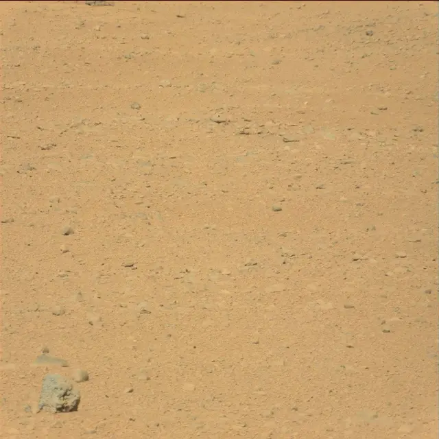 Sol 41: Mast Camera (Mastcam)