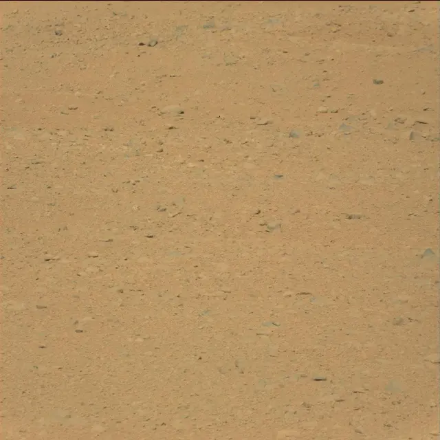 Sol 41: Mast Camera (Mastcam)
