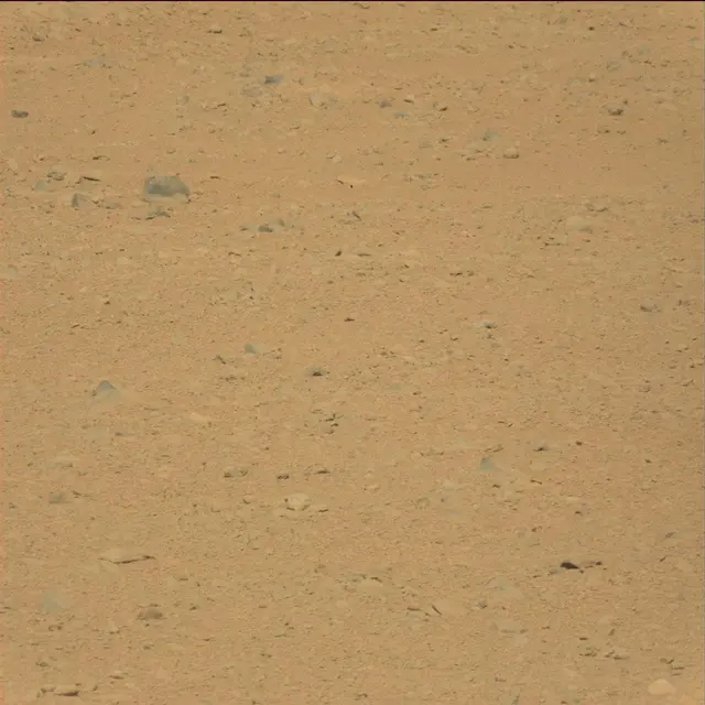Sol 41: Mast Camera (Mastcam)