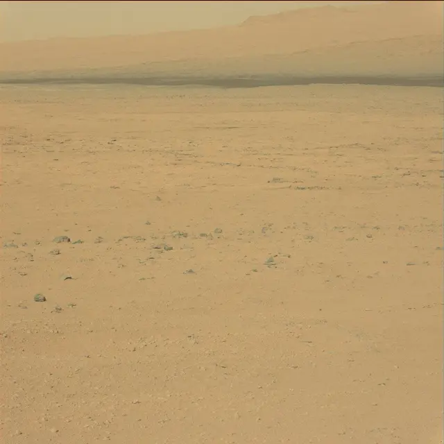 Sol 42: Mast Camera (Mastcam)
