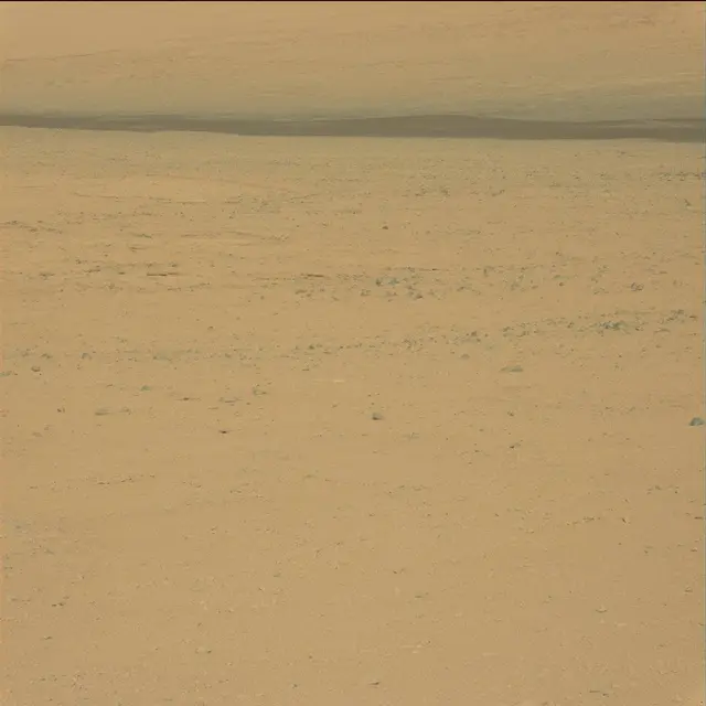Sol 42: Mast Camera (Mastcam)