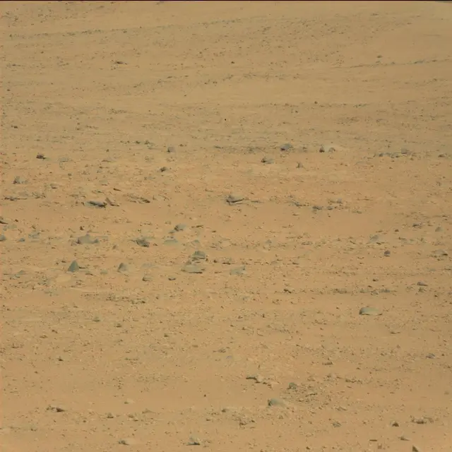 Sol 42: Mast Camera (Mastcam)