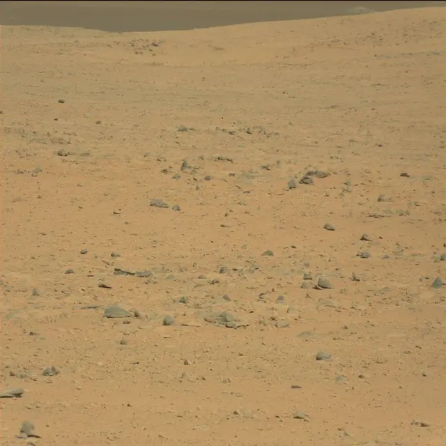 Sol 42: Mast Camera (Mastcam)