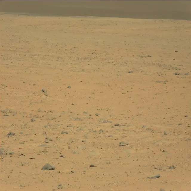 Sol 42: Mast Camera (Mastcam)