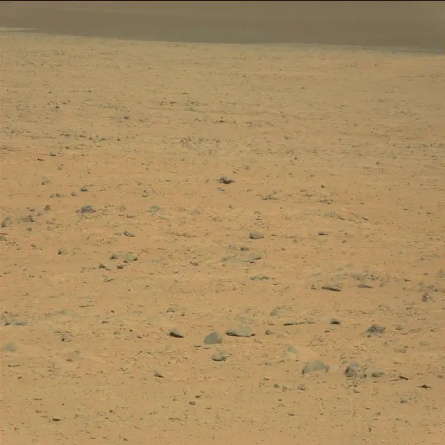 Sol 42: Mast Camera (Mastcam)