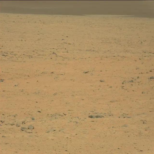 Sol 42: Mast Camera (Mastcam)