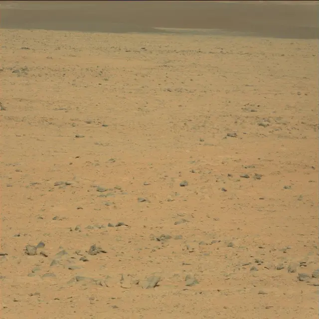 Sol 42: Mast Camera (Mastcam)