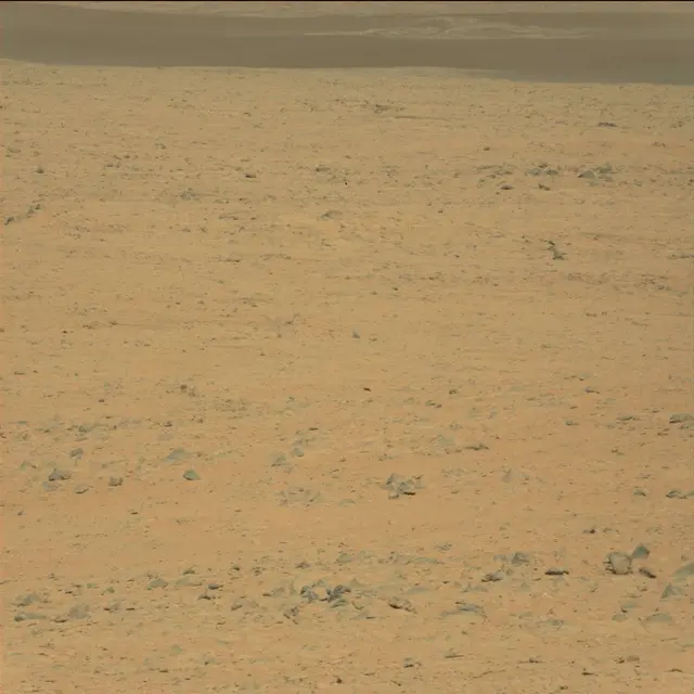 Sol 42: Mast Camera (Mastcam)