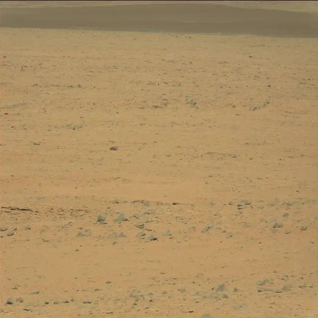 Sol 42: Mast Camera (Mastcam)