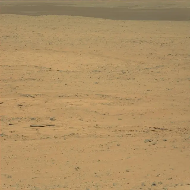 Sol 42: Mast Camera (Mastcam)