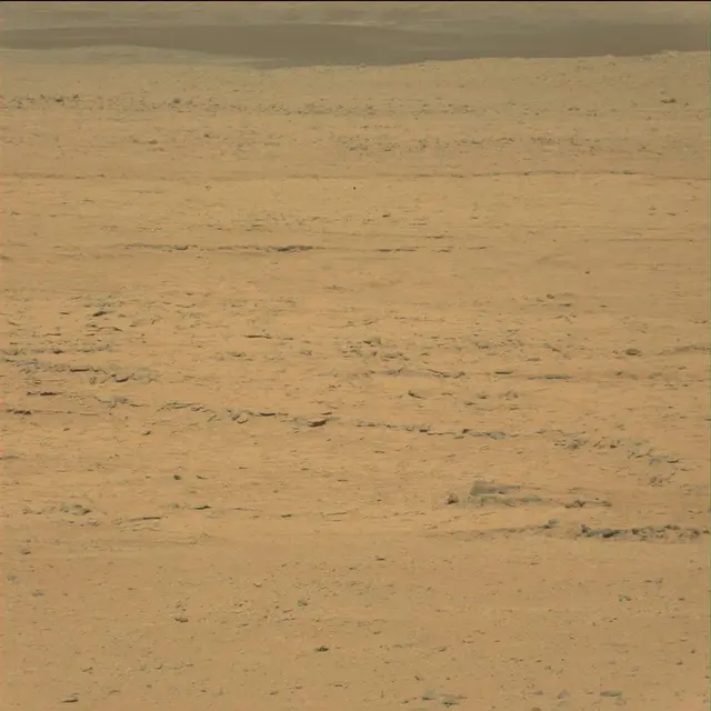 Sol 42: Mast Camera (Mastcam)
