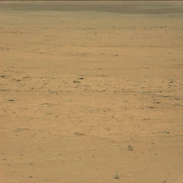 Sol 42: Mast Camera (Mastcam)