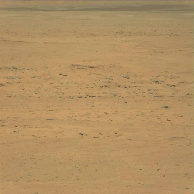 Sol 42: Mast Camera (Mastcam)