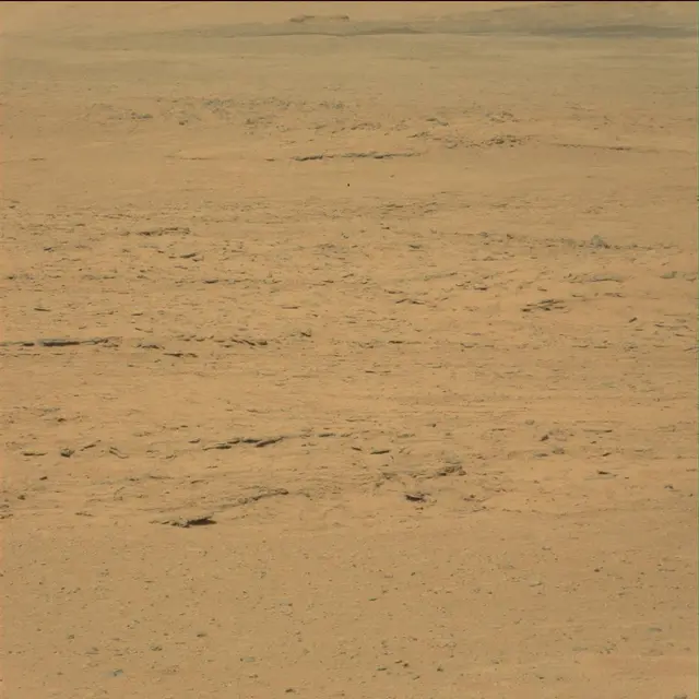 Sol 42: Mast Camera (Mastcam)